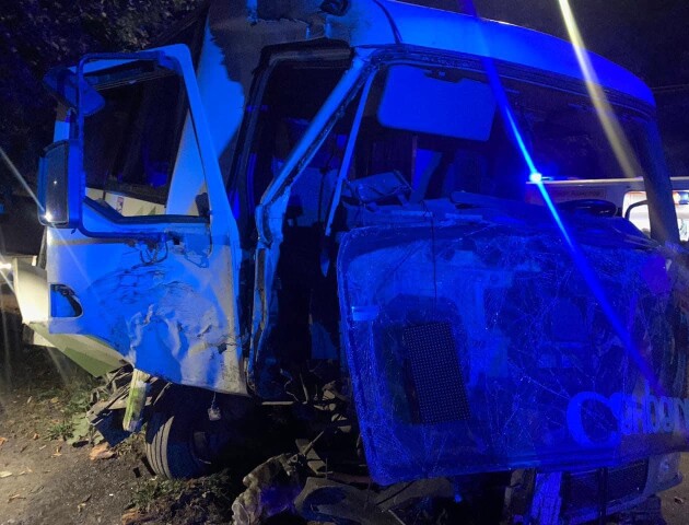 У Луцьку автобус врізався в дерево: постраждало 4 людей. ФОТО