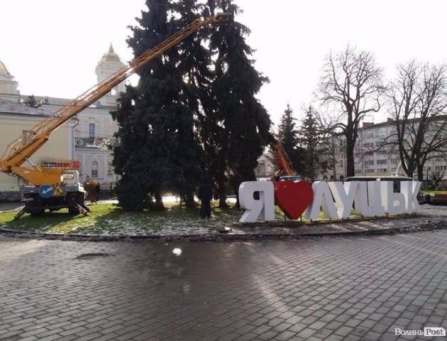 У Луцьку почали прикрашати головну ялинку міста. ФОТО