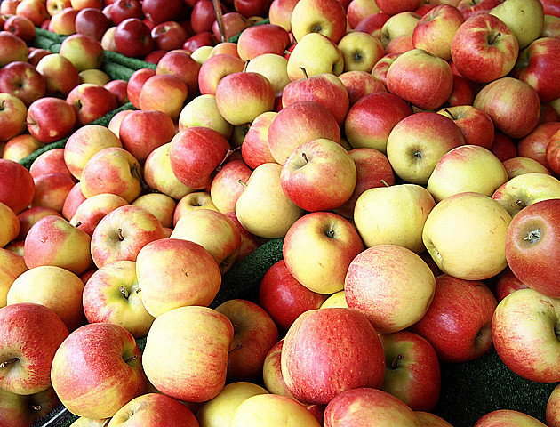 Україна в кілька разів збільшила експорт яблук в країни ЄС
