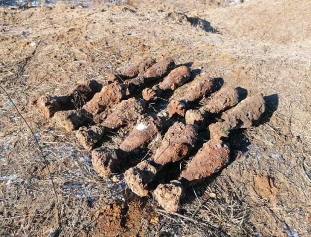 На Волині батько з сином знайшли мінометні міни на своєму городі