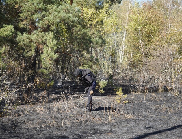 Як волинські піротехніки Донеччину розміновують