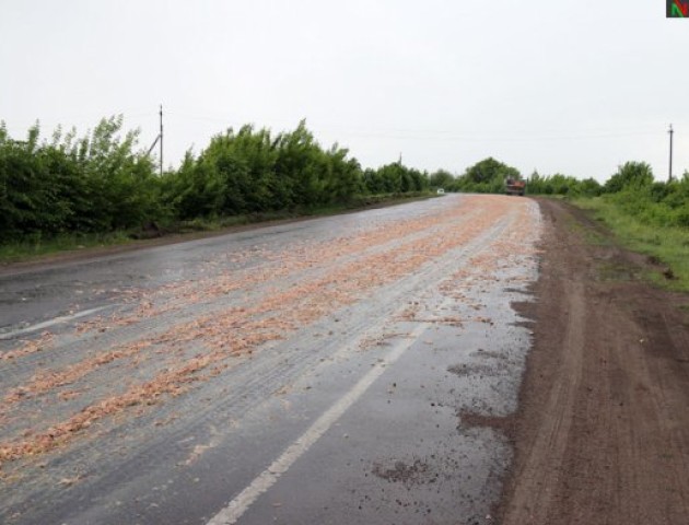 Дорогу біля Нововолинська вкрили курячі кишки. ФОТО. ВІДЕО