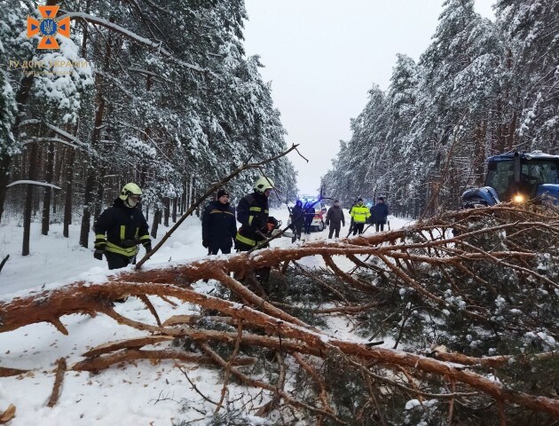 Слизька дорога і повалені дерева: волинські рятувальники  попередили про небезпеку на автошляхах