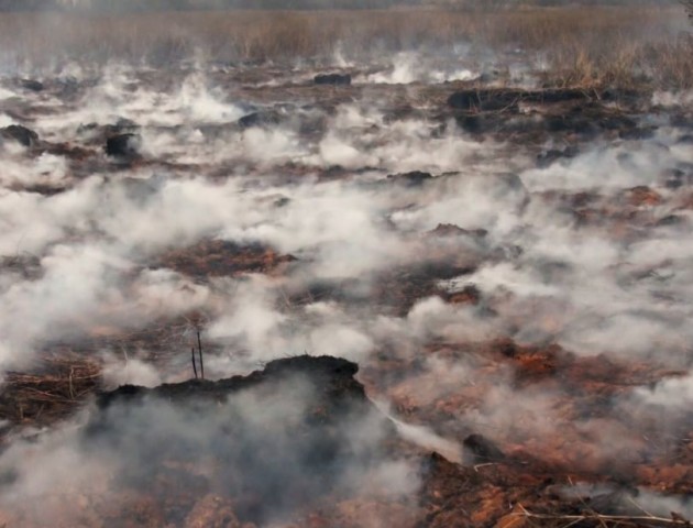 Масштабна пожежа торфовища на Волині: працює понад 40 рятувальників. ВІДЕО