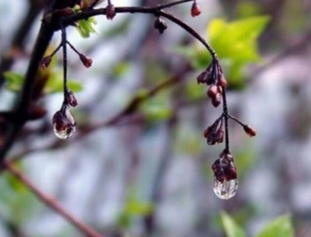 На Волині прогнозують дощі з грозами і суттєве похолодання
