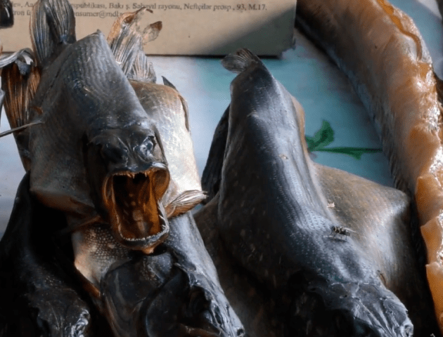 Без холодильників та вітрин: продавці ганяють мух на рибному ринку на Світязі. ВІДЕО
