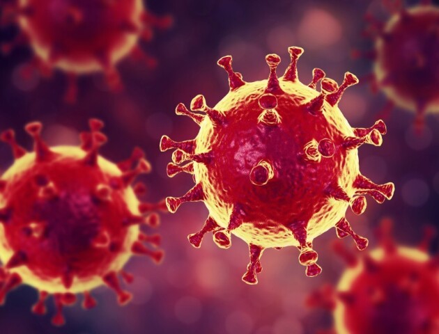 У Луцьку зафіксували перший випадок коронавірусу