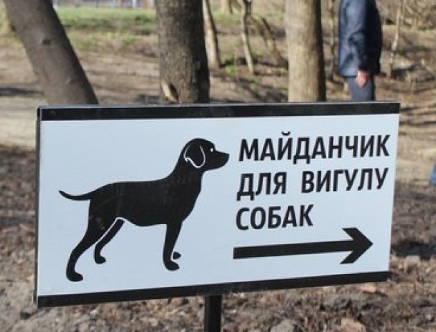 Земля «Укрзалізниці»: поблизу ПУМу в Луцьку немає місця на майданчик для собак. ВІДЕО