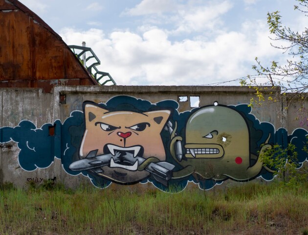 Щастя мати змогу помити руки в річці Ірпінь: луцький художник зобразив графіті на Київщині. ФОТО