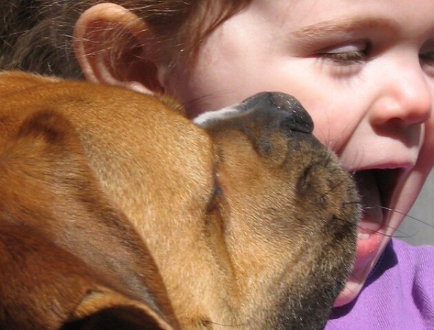 На Волині собака покусала семирічну дівчинку: власницю пса судитимуть