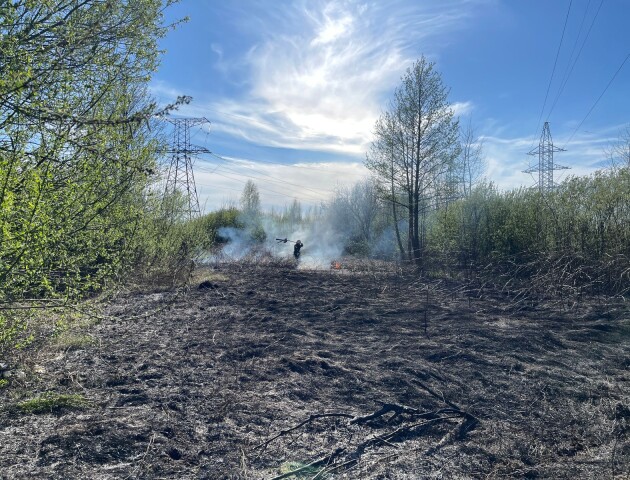 За минулу добу на Волині трапилося три пожежі сухої трави. ФОТО. ВІДЕО