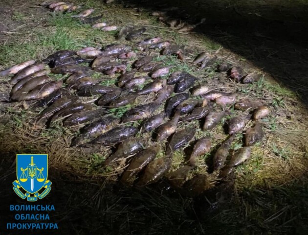 Судитимуть волинянина, який незаконно наловив риби майже на мільйон гривень