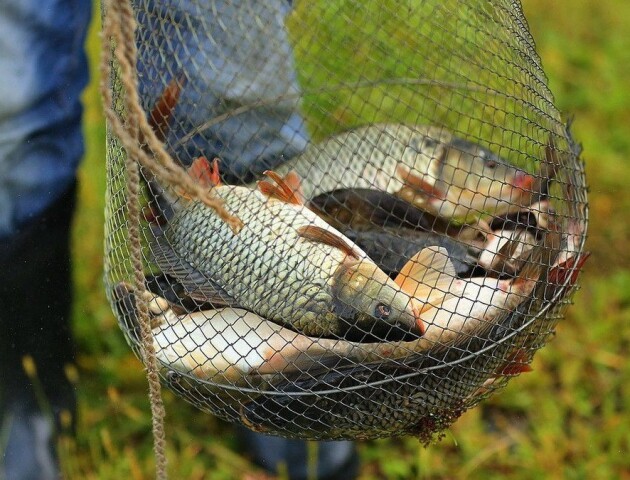 Волинські рибоохоронці викрили 49 порушень у лютому