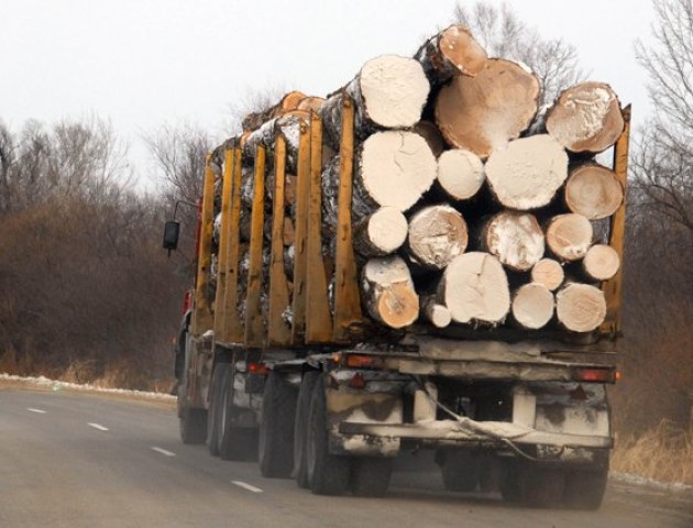 Контроль за митним оформленням експорту лісоматеріалів постійно посилений, - Волинська митниця