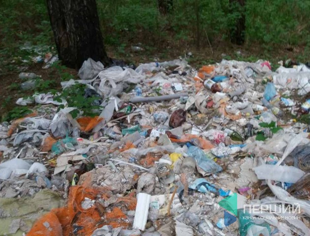 В «Панському лісі» села Прилуцьке - стихійне сміттєзвалище. ФОТО