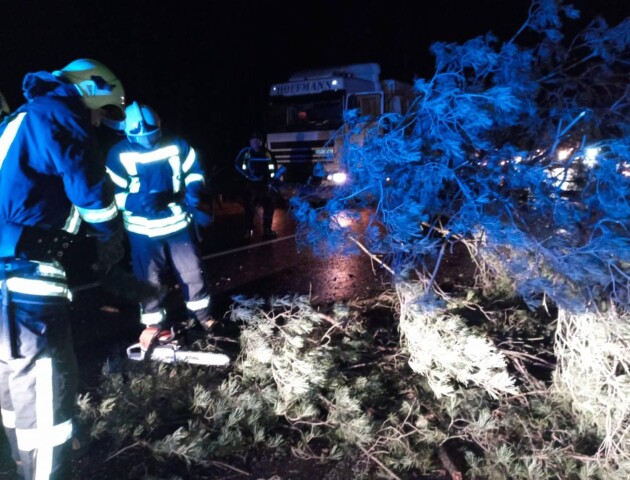 На Волині вітер повалив дерева на дороги