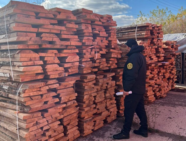 Через «Ягодин» намагалися незаконно вивести деревину. ФОТО