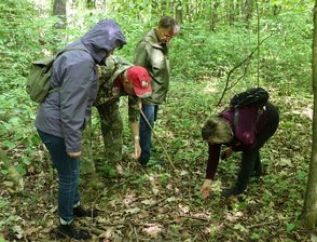 Не могли знайти 5 років: на Волині виявили унікальну рослину