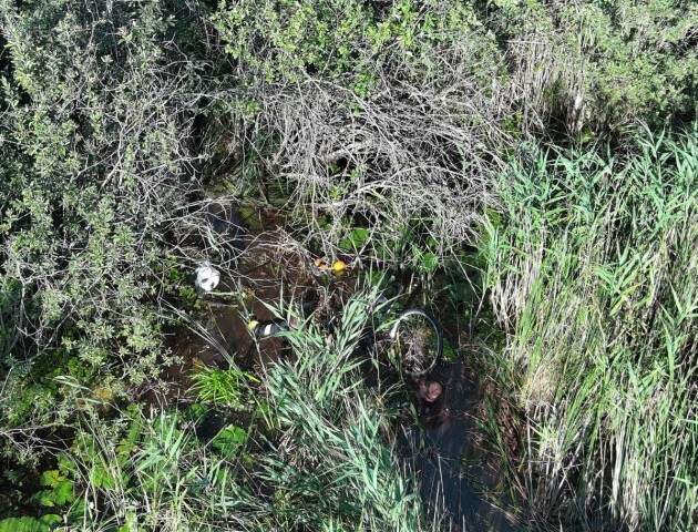 На Волині за допомогою геолокації і дрона врятували чоловіка, який застряг у болоті. ФОТО