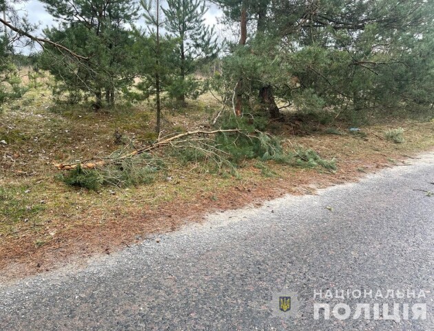 На Волині мотоцикліст влетів у дерево: водія двоколісного і пасажира госпіталізували