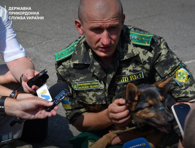 Поранили, а потім отруїли вороги. Історія пса, який рятував прикордонника