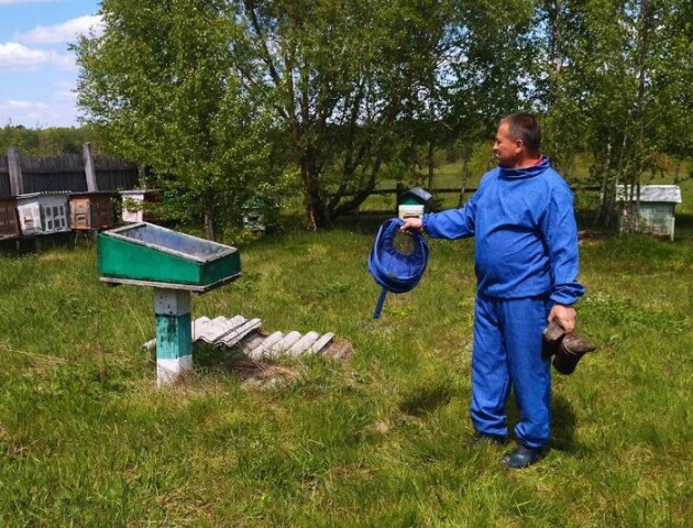 «Не накопичують вологи і бджолам ліпше»: пасічник з Волині майструє вулики з очерету