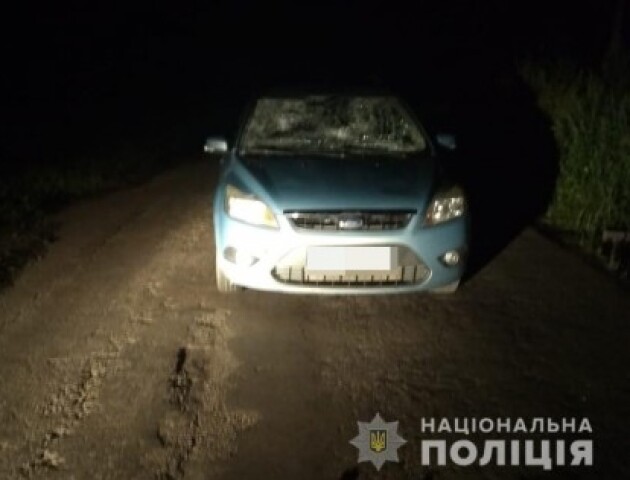 На 3,5 років у тюрму посадили водія, який пʼяним збив двох пішоходів поблизу Луцька