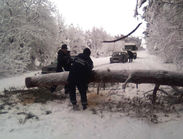 На Волині дерево впало на дорогу через сніг