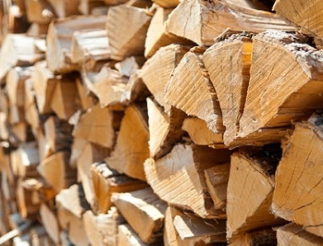 На Волині директори шкіл самі заготовляють дрова для опалення шкіл