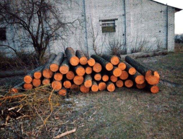 На Ратнівщині лісова охорона знайшла «нічийну» деревину