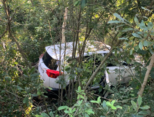 На Волині авто з жінкою і двома дітьми злетіло у кювет