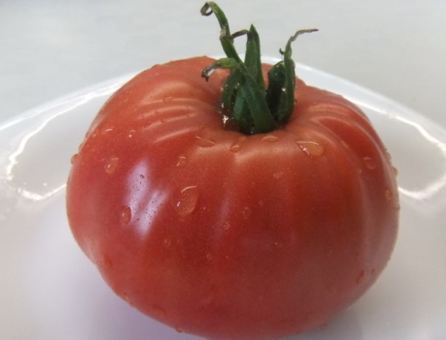 У Катарі виростили найбільший органічний помідор у світі