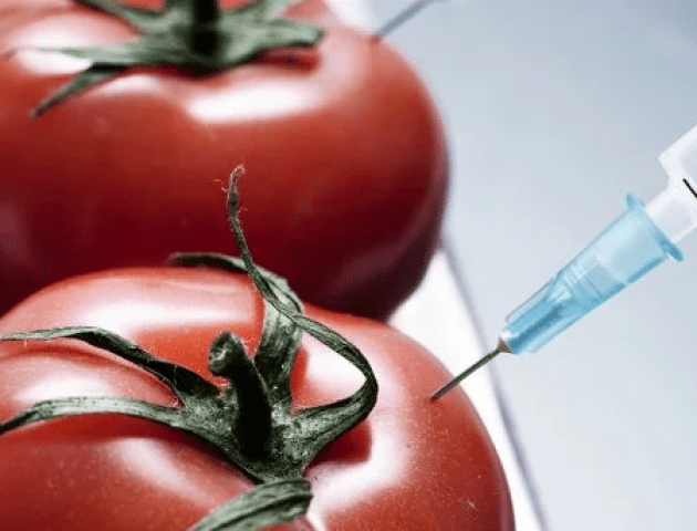 Продукти, в яких найчастіше міститься ГМО