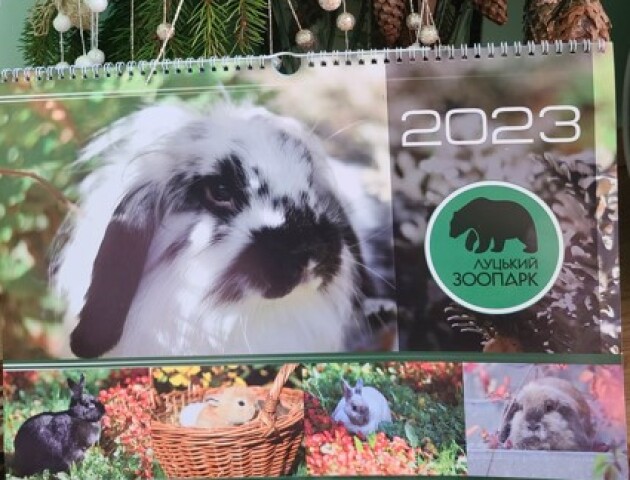 У Луцькому зоопарку створили календар з фото своїх підопічних і мотивуючими цитатами