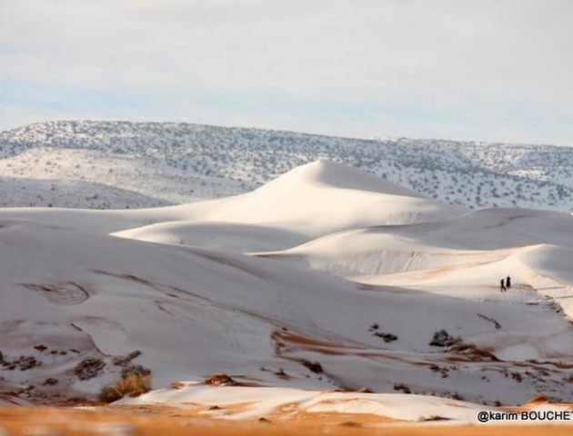 В пустелі Сахара випав сніг: фото  - ЗМІ