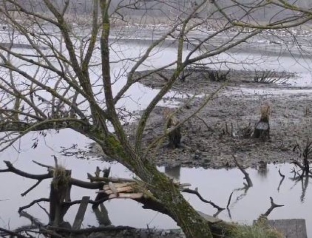 За добу рівень води впав на метр: на Волині різко обміліла річка Путилівка. ВІДЕО