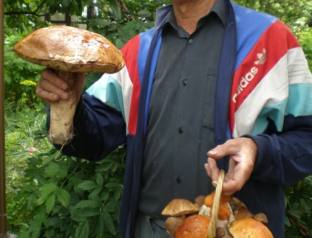 У лісі під Луцьком знайшли гігантського гриба. ФОТО