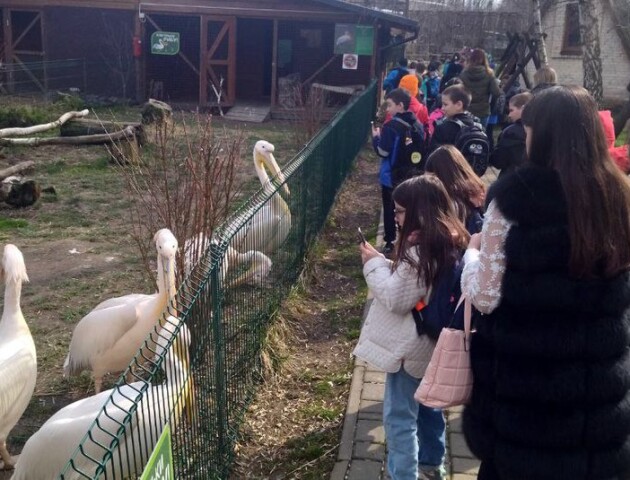 У Луцькому зоопарку відновили екскурсії