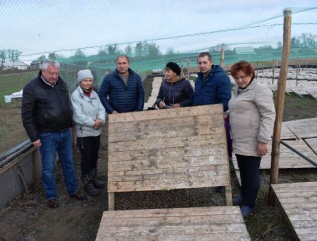 У Горохівському районі сім'я вирощує на фермі равликів