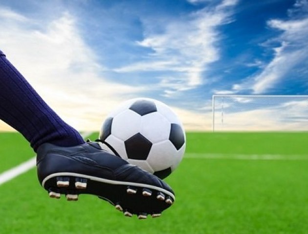 На Волині відбудеться футбольне свято від «Вірних збірній»