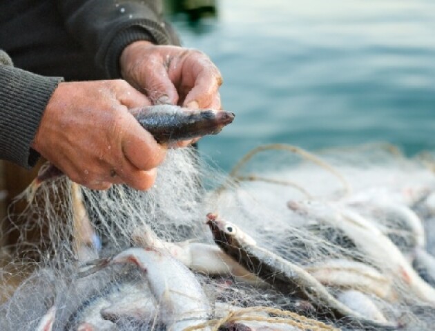 На Волині рибалки сплатили штрафів на понад пів мільйона гривень