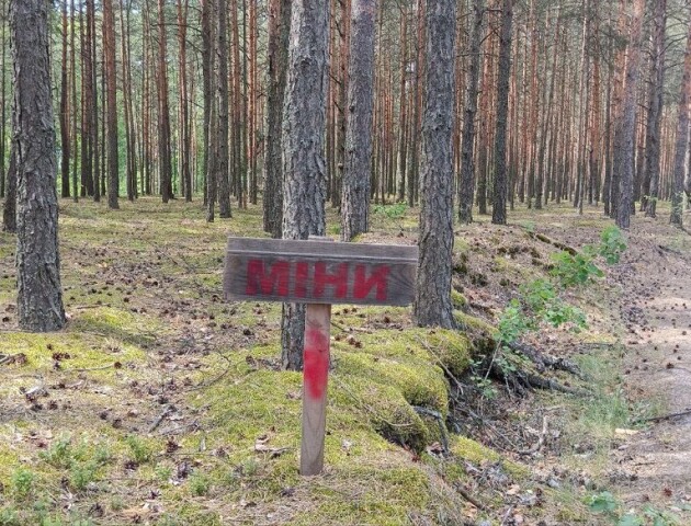 Як у громаді на Волині діє заборона відвідування лісу