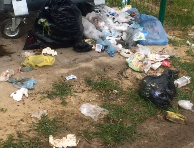 У громаді біля Луцька безсовісні жителі викидають сміття в контейнер для скла