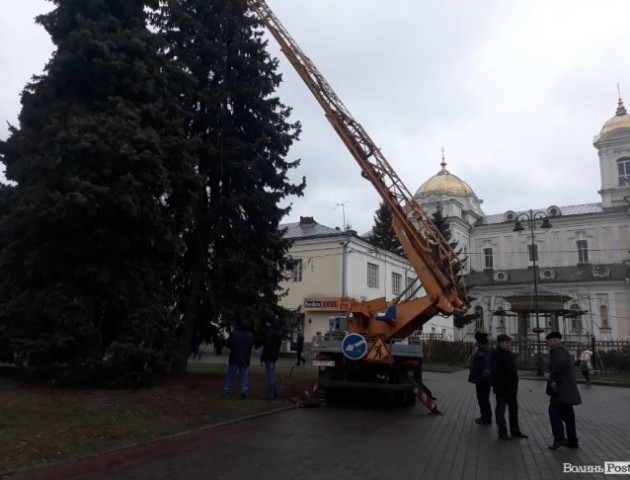 У  Луцьку розпочали  прикрашати головну ялинку міста. ФОТО