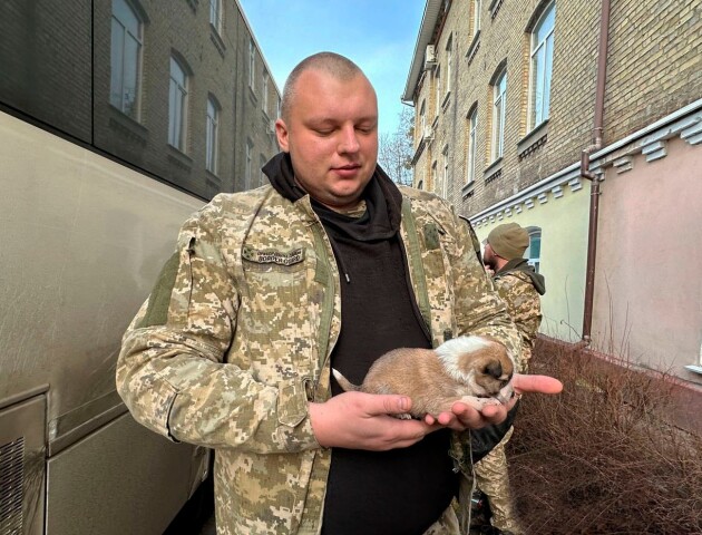 Прикордонник привіз з фронту врятоване крихітне цуценя