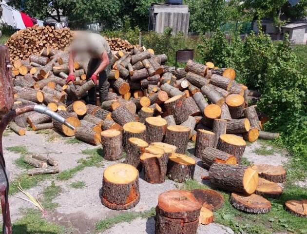 19-річний волинянин накрав деревини на 40 тисяч гривень