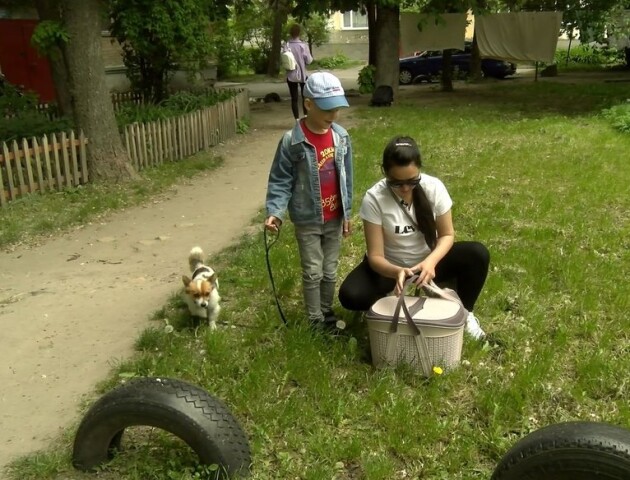 Перевезли котів та собаку, а в Луцьку народилась донька: історія переселенців з Бахмута