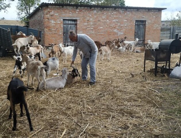 Фермер із Донеччини не може вигодувати кіз, яких перевіз на Волинь