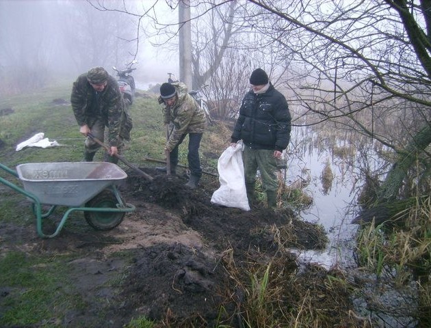 На Волині терміново ремонтують дамби, які пошкодили бобри