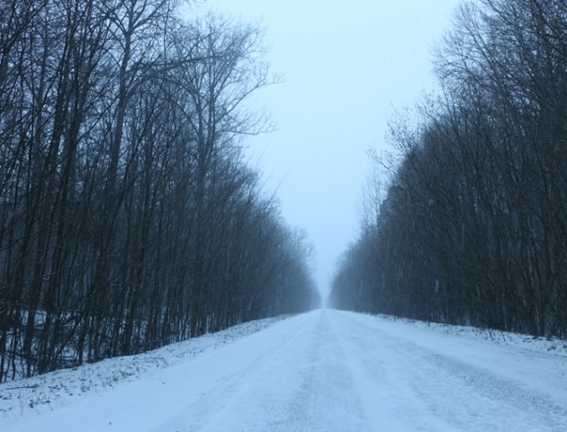 Хмарно та сніг: погода у  Луцьку та області на 12 грудня